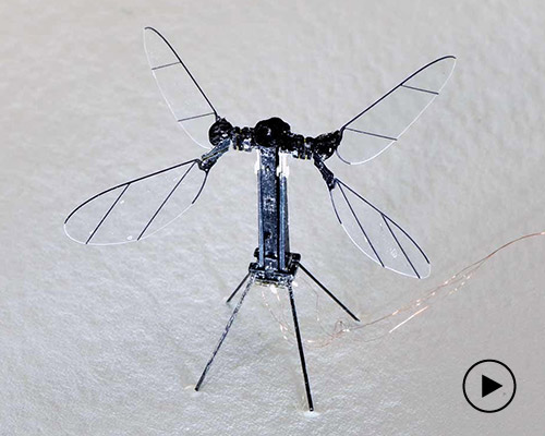 solar-powered robot bee offers a glimpse into the future of insect drones
