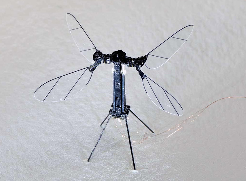 TOP 10 robotic stories of 2019