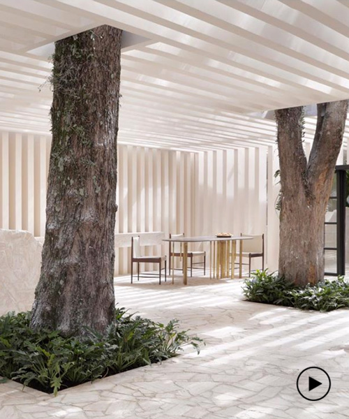 studio otto felix incorporates two existing trees in sibipirunas house at CASACOR são paulo