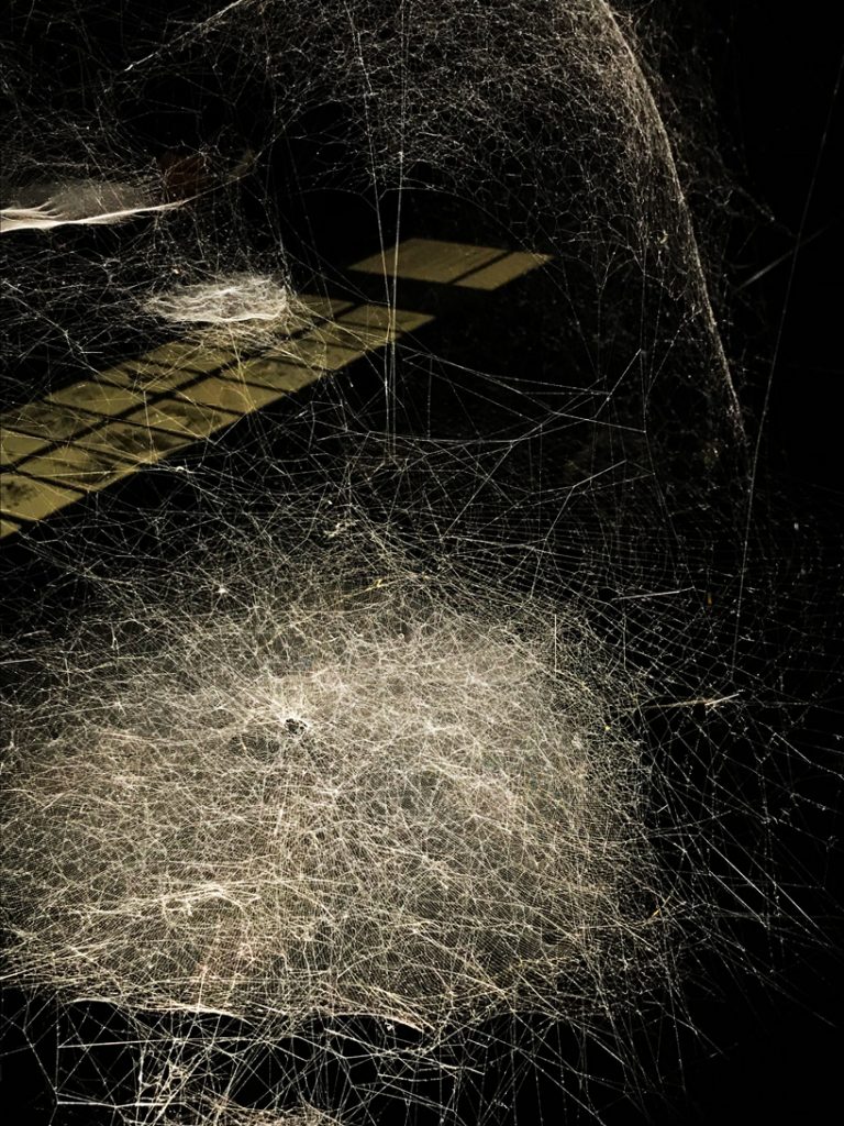 tomás saraceno brings spider webs and his aerocene project at the ...