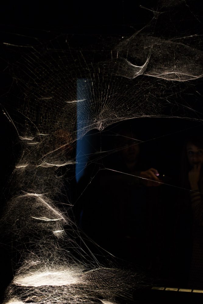 Tomás Saraceno Brings Spider Webs And His Aerocene Project At The ...