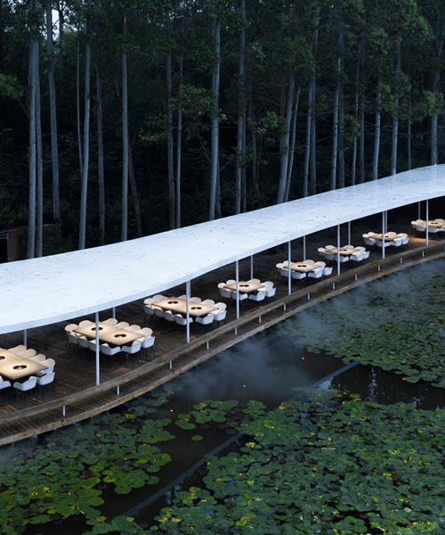 hotpot restaurant by MUDA-architects weaves its way through a eucalyptus forest