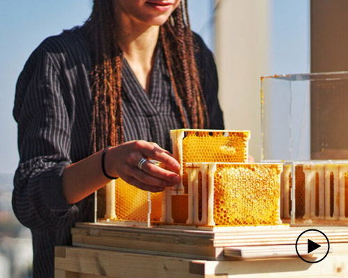 the urban-friendly B-box kit lets you save the decreasing bee population at home