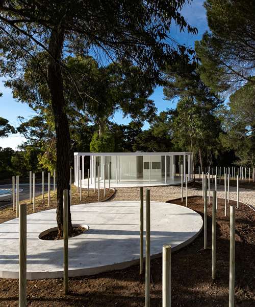 bruno camara architects adds 3400 wooden posts to white forest in portugal
