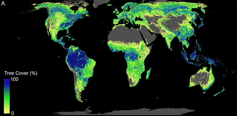 can planting a trillion trees save us from climate change? designboom