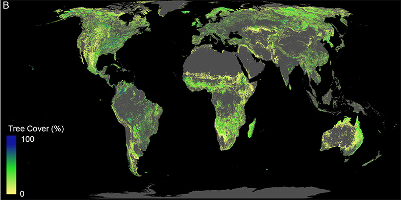 can planting a trillion trees save us from climate change? designboom