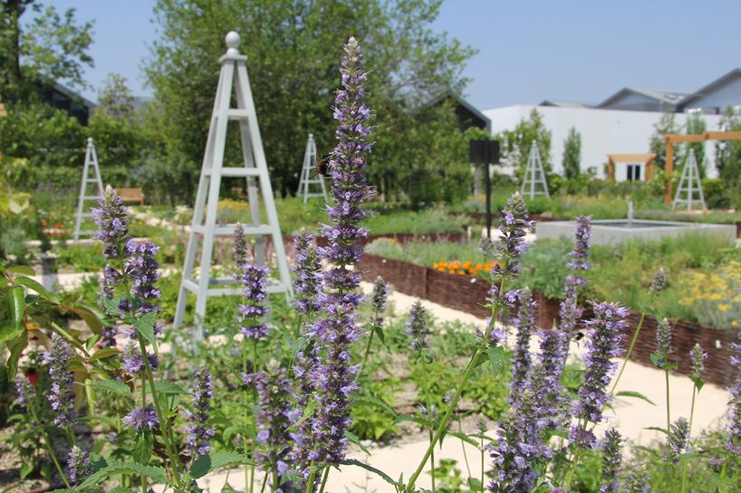 davines unveils scientific garden designed by tommaso del buono for research and wellbeing designboom