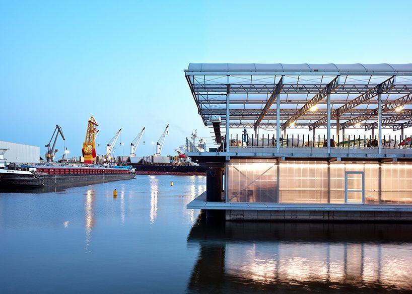the floating farm produces, processes and distributes dairy products in rotterdam
