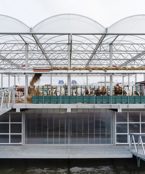 the floating farm produces, processes and distributes dairy products in rotterdam
