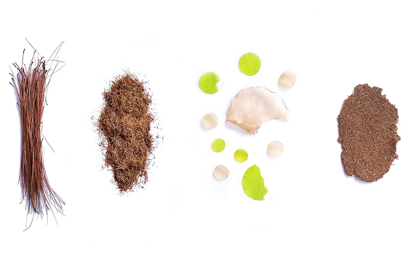 gaurav mk wali transforms pine needles into biodegradable composite material