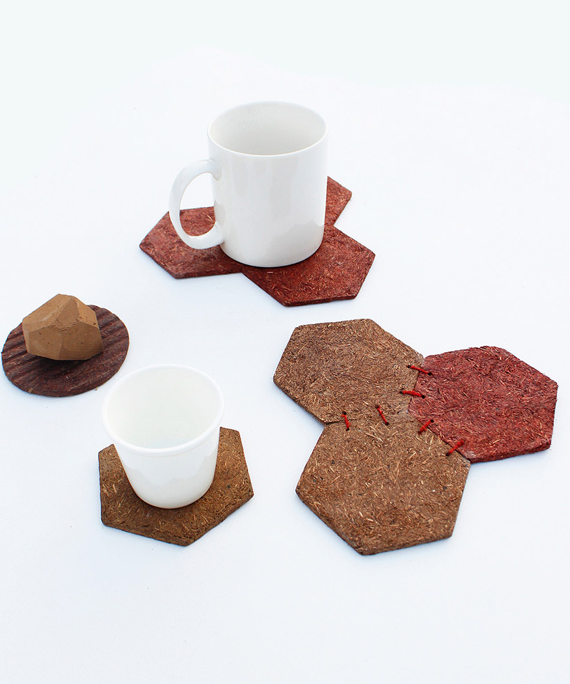 gaurav mk wali transforms pine needles into biodegradable composite material