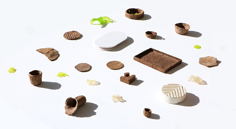 gaurav mk wali transforms pine needles into biodegradable composite material