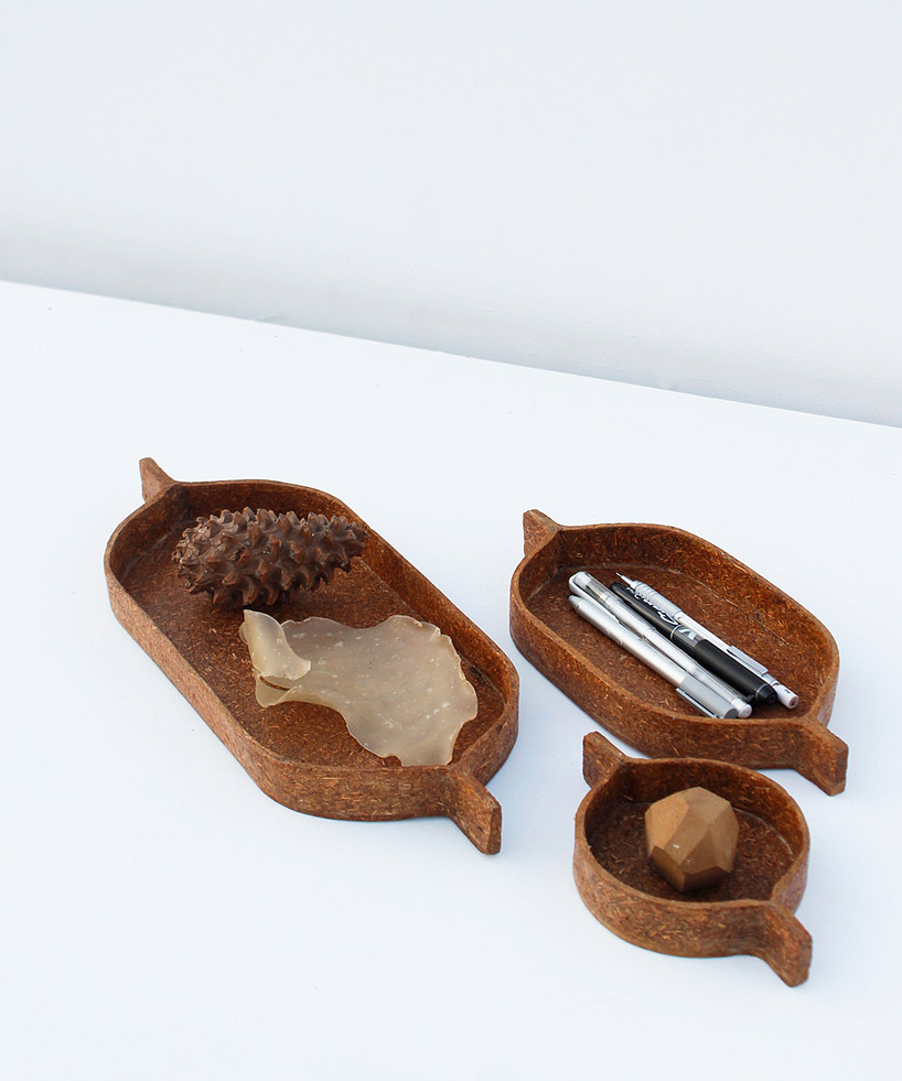 gaurav mk wali transforms pine needles into biodegradable composite material