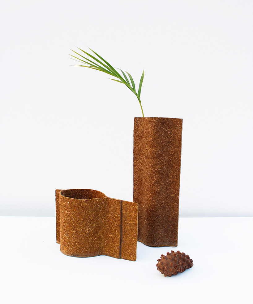 gaurav mk wali transforms pine needles into biodegradable composite material