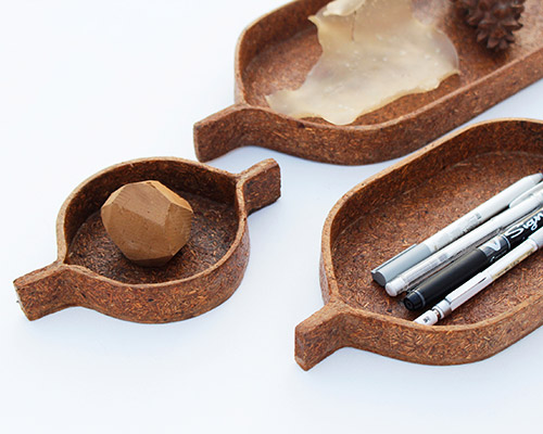 gaurav mk wali transforms pine needles into biodegradable composite material