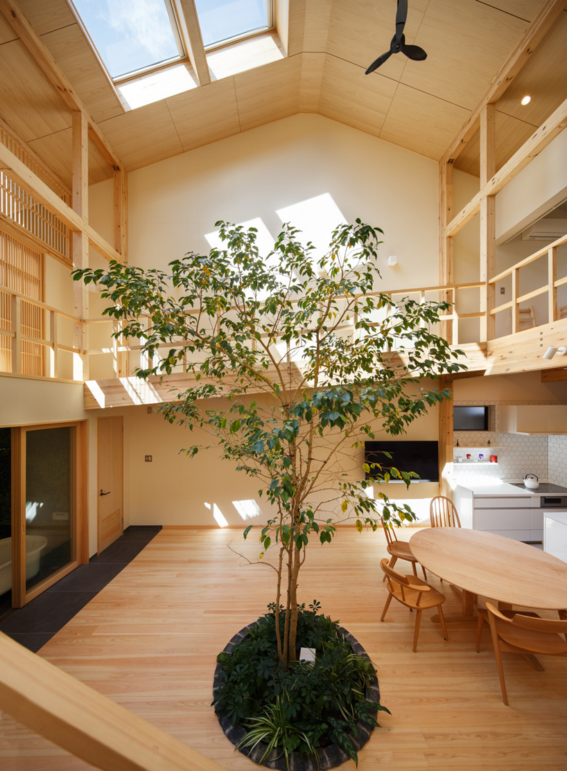 07BEACH builds family house in kyoto with an indoor tree