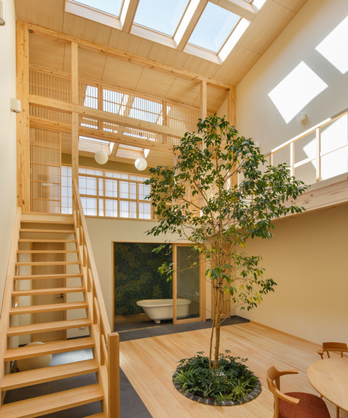 07BEACH builds family house in kyoto with an indoor tree growing at its center