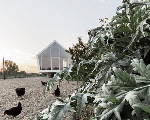 LDA.iMDA elevates gabled roof house over an orchard in italy