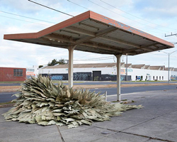 loose leaf studio takes over a disused petrol station with botanical installation