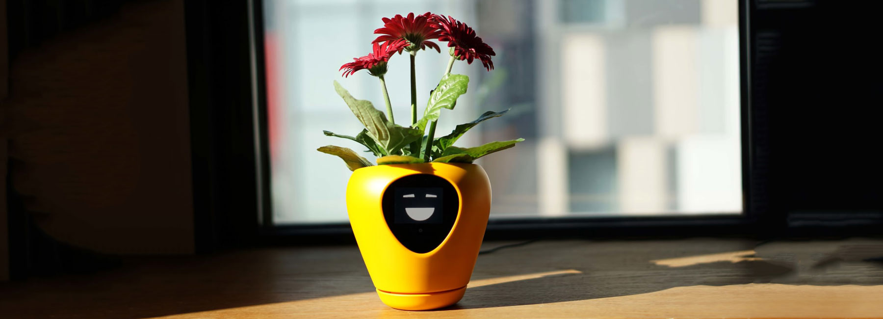 lua smart planter uses facial expressions to help you look