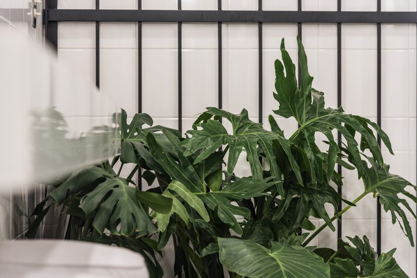 dosa studio + TAAC transform early 20th century manor into taco restaurant in mexico city