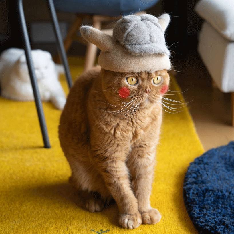 ryo yamazaki captures cats in hats crafted using their own fur