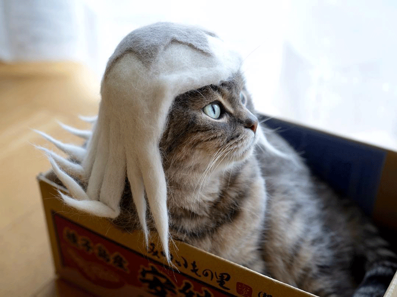 Ryo Yamazaki Captures Cats In Hats Crafted Using Their Own Fur