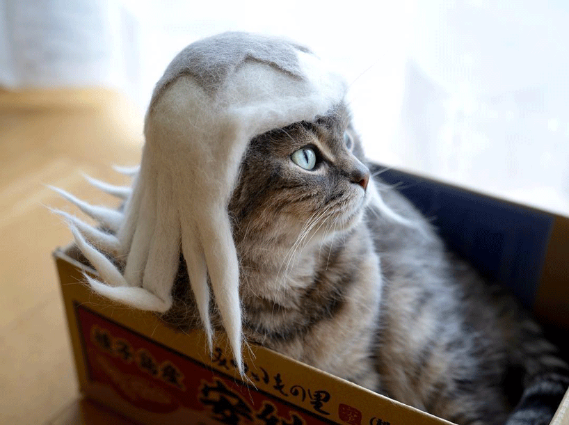 Cats In Hats Made From Their Own Hair