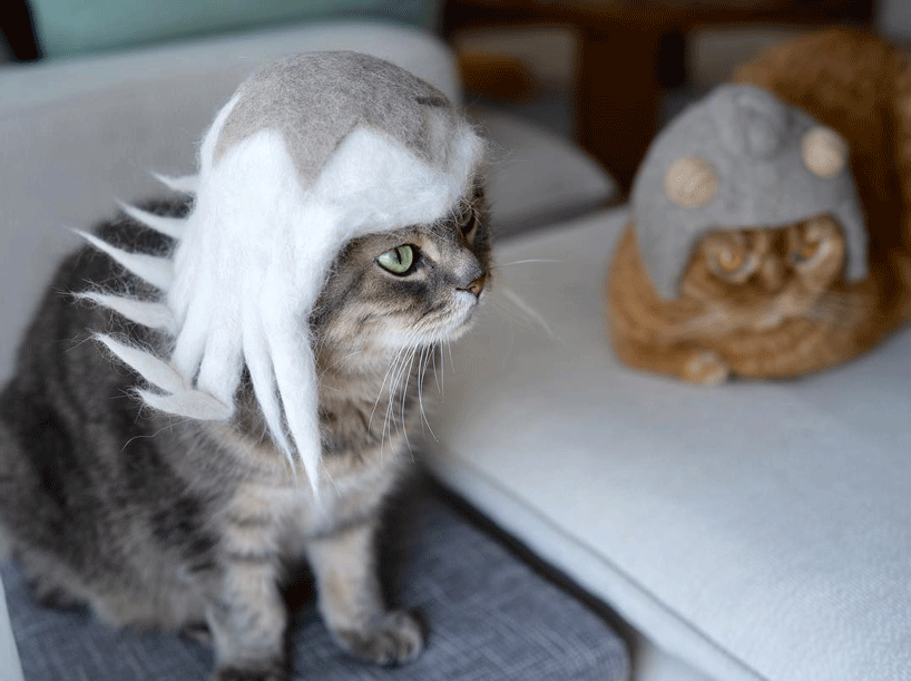 ryo yamazaki captures cats in hats crafted using their own fur