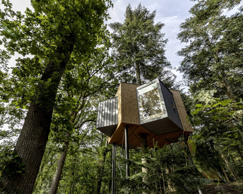 sigurd larsen builds nine wooden cabins for treetop hotel løvtag in a danish fjord