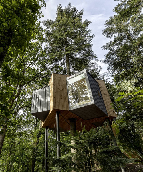 sigurd larsen builds nine wooden cabins for treetop hotel løvtag in a danish fjord