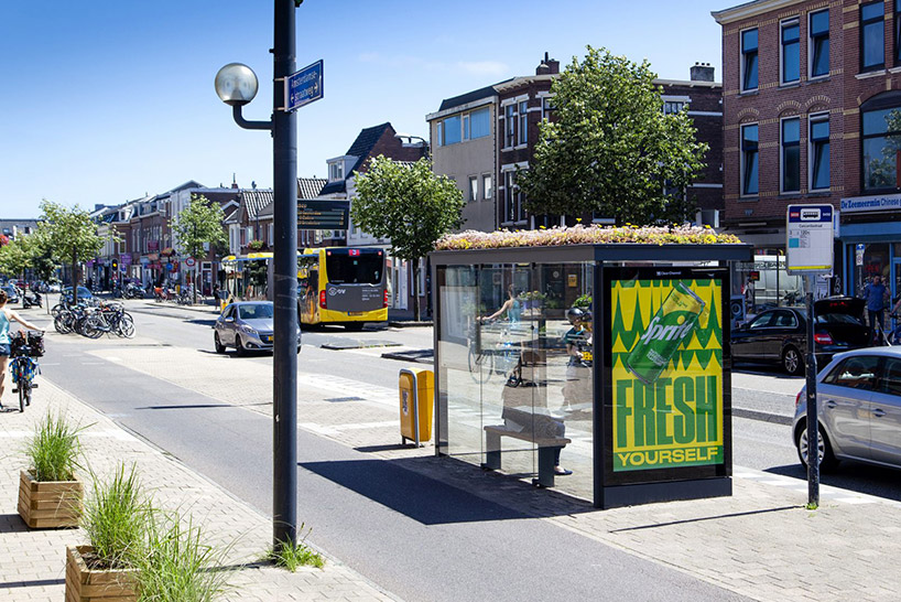 utrecht transforms over 300 bus stops into green-roofed bee stops
