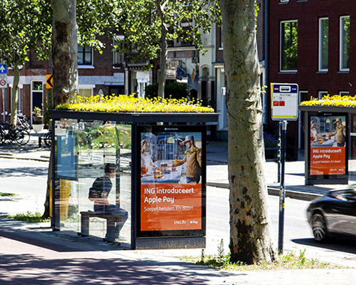 utrecht transforms over 300 bus stops into green-roofed bee stops