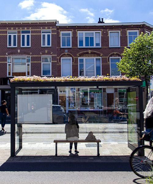 utrecht transforms over 300 bus stops into green-roofed bee stops