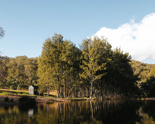 fresh prince designs tiny off-grid cabin for sustainable summer getaways