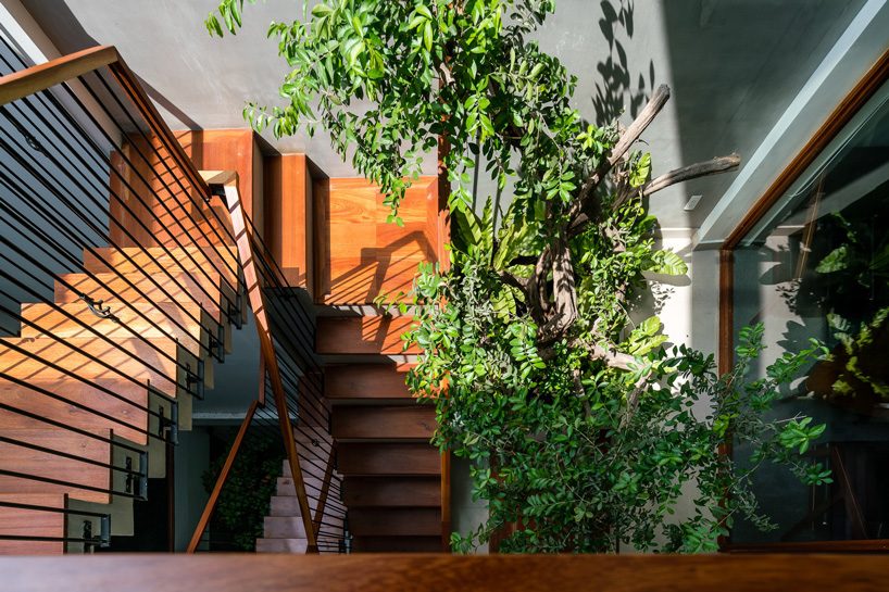 aD9 architects clads vietnamese office building in dynamic façade and greenery