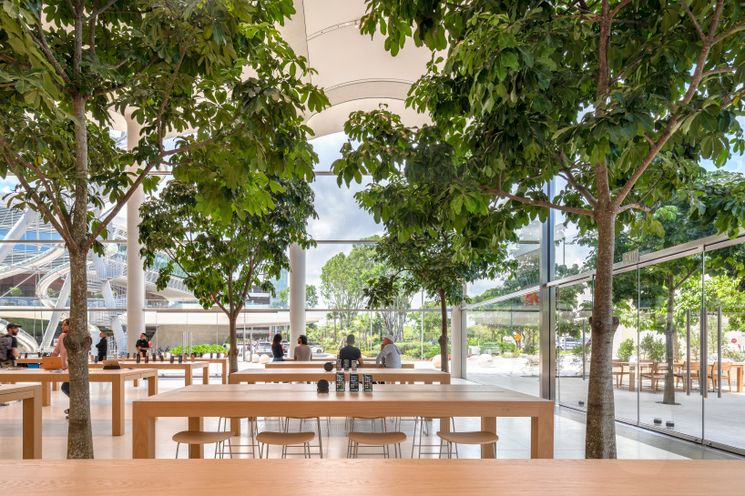 foster + partners completes miami's latest apple store