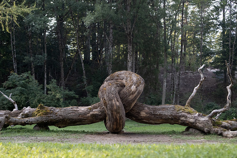Edoardo Tresoldi land art with tree