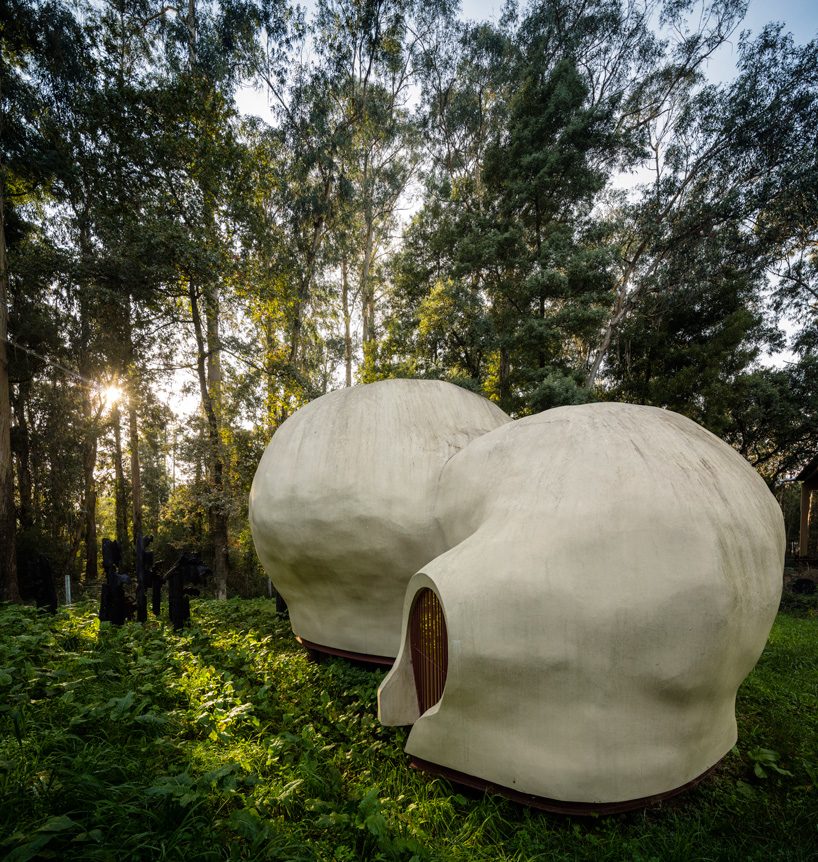 FCC arquitectura tops mato gallery in portugal with an organic, sculptural shell