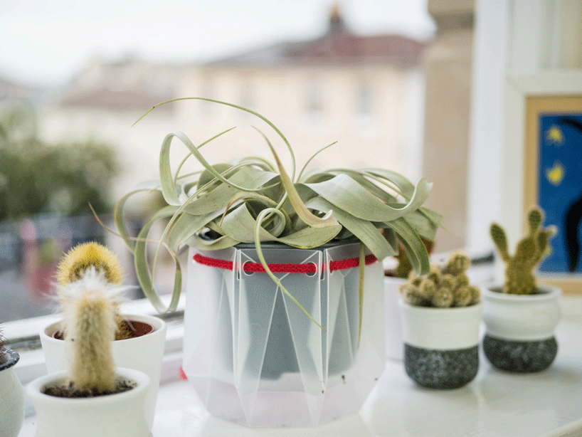 flatpack origami plant pots are eco-friendly and water themselves