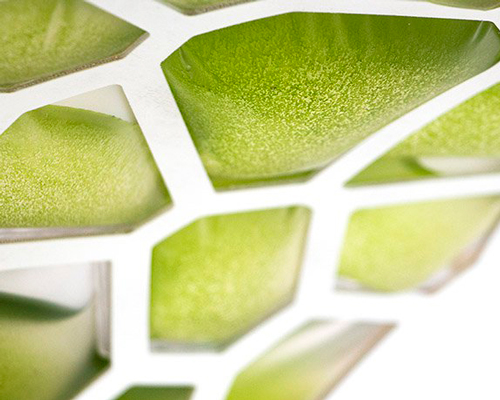 aerium changes airplanes' structure into a performative biological system