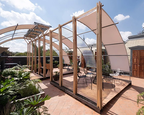 HDA + taller paralelo transform a rooftop into a contemporary garden in mexico