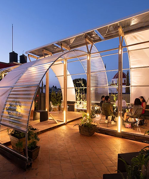 HDA + taller paralelo transform a rooftop into a contemporary garden in mexico