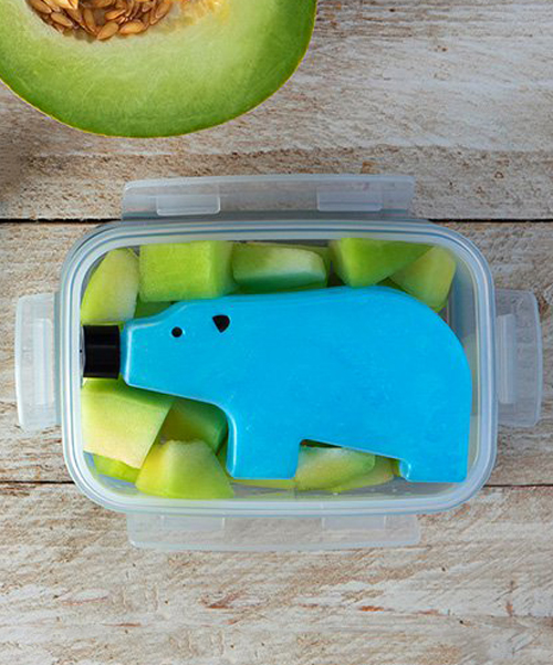 blue bears by monkey business chill your lunchbox or picnic basket