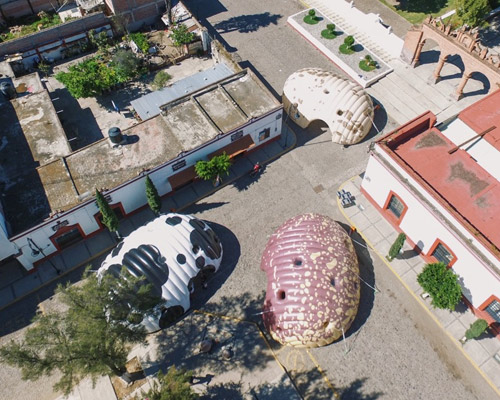 norberto miranda creates huge inflatable beans to host exhibitions in mexico