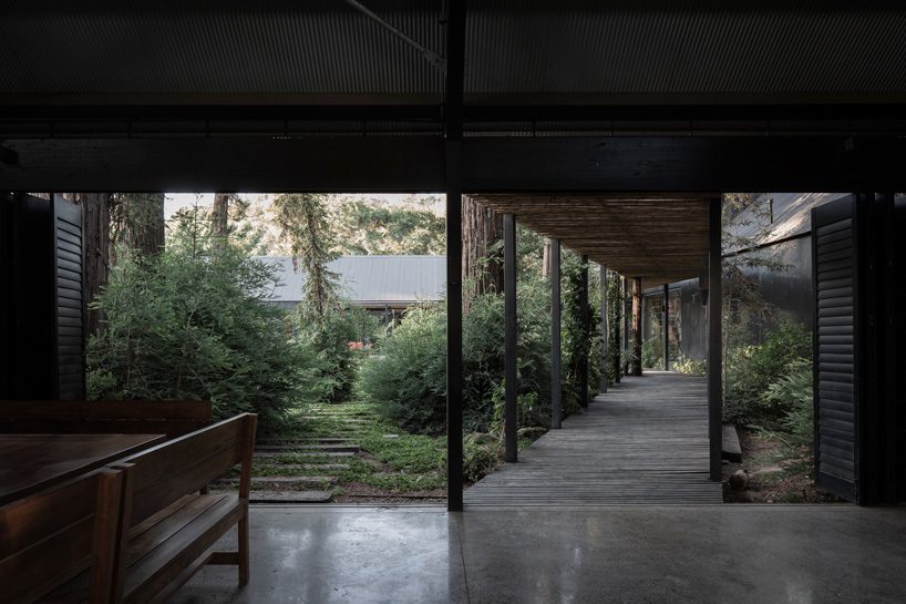 OF architects immerses the several pavilions of the mallarauco house within chilean forest