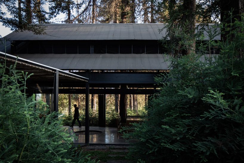 OF architects immerses the several pavilions of the mallarauco house within chilean forest