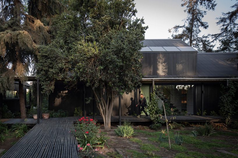 OF architects immerses the several pavilions of the mallarauco house within chilean forest