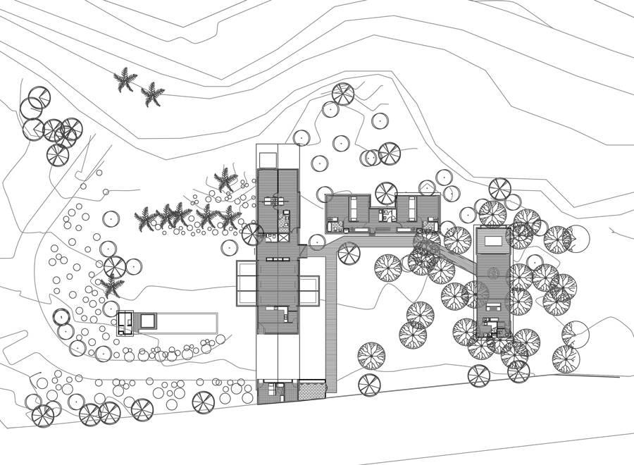 OF architects immerses the several pavilions of the mallarauco house within chilean forest