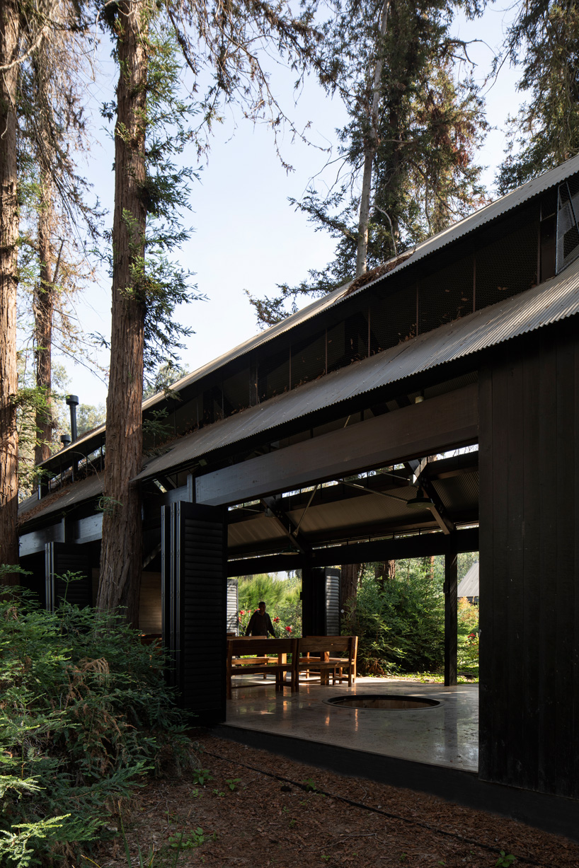 OF architects immerses the several pavilions of the mallarauco house within chilean forest